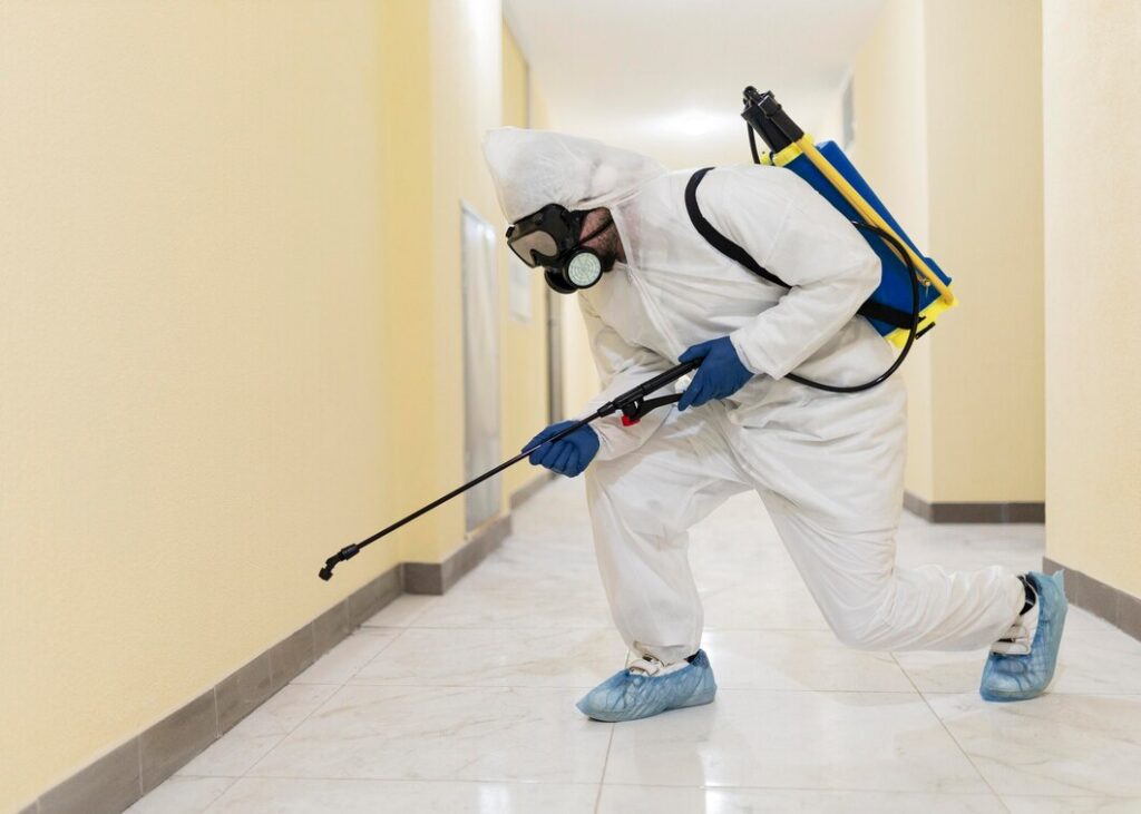 Pest Control Services in Bangalore