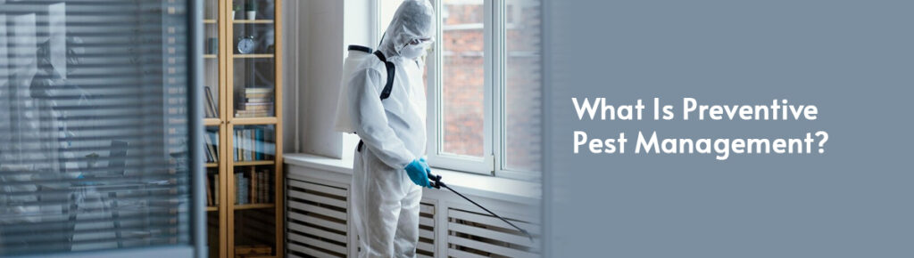 What Is Preventive Pest Management